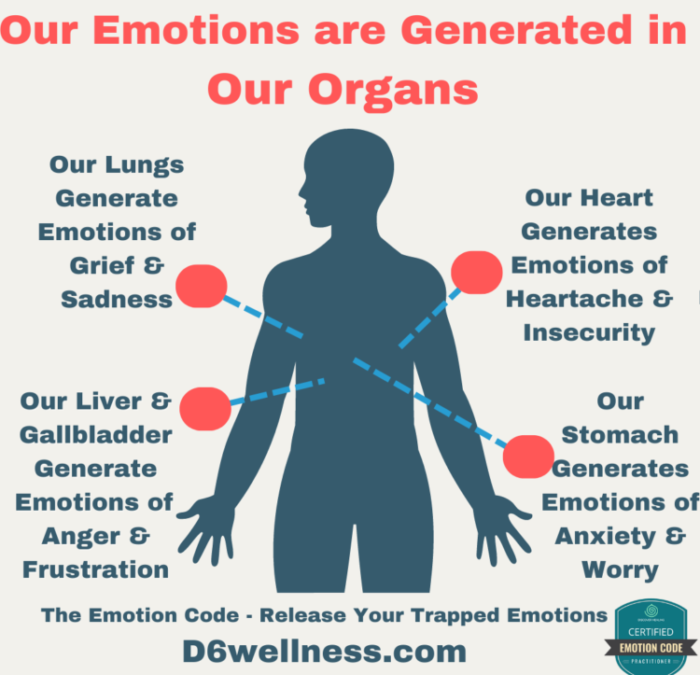 Where are our Emotions Created?